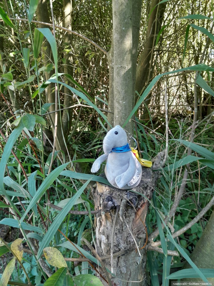 Продолжаем гулять по заповеднику (фото 7)