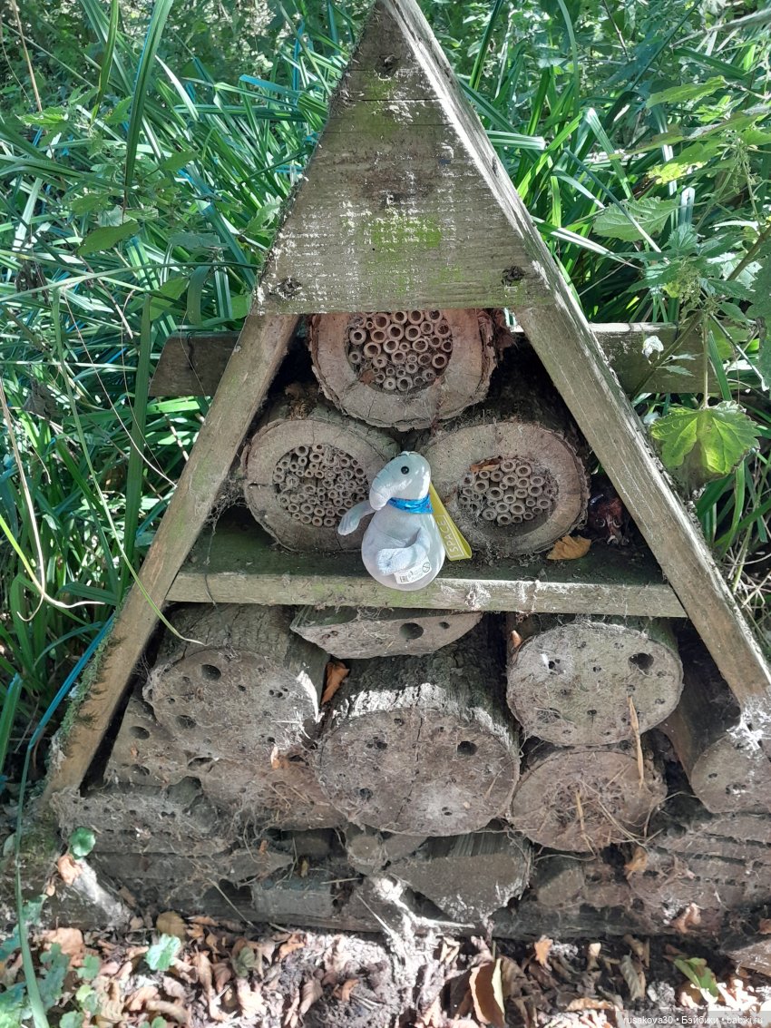 Продолжаем гулять по заповеднику