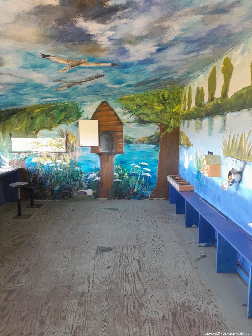 Продолжаем гулять по заповеднику