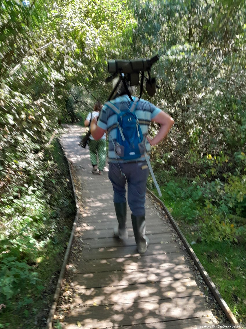 Продолжаем гулять по заповеднику (фото 5)