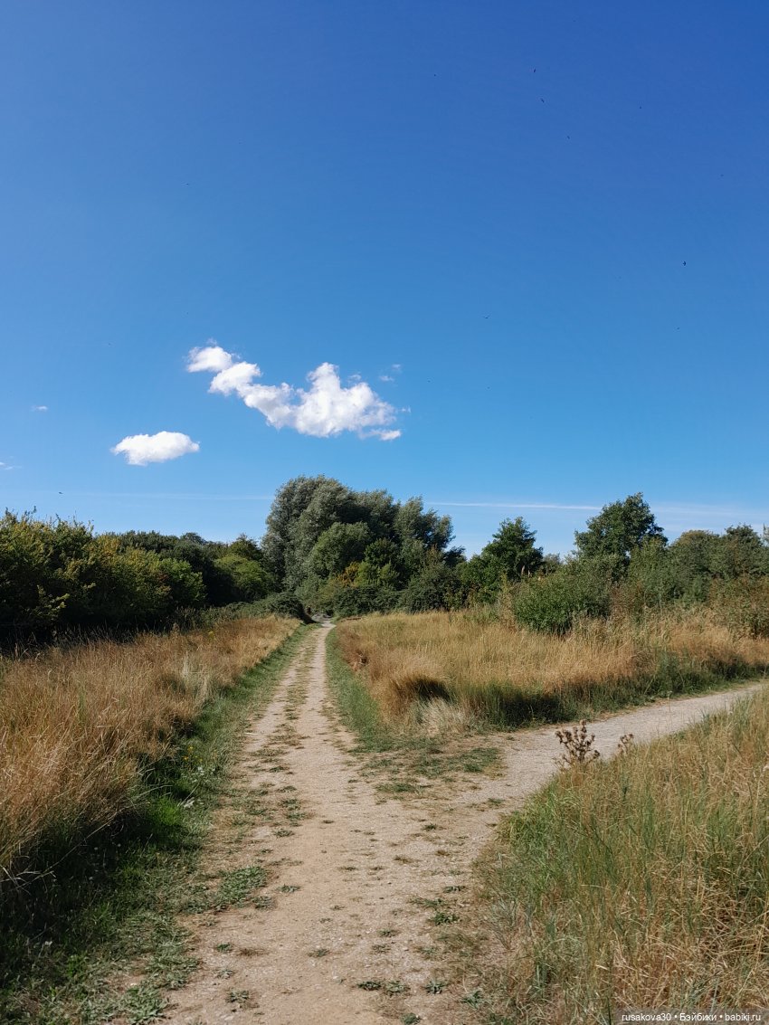 Продолжаем гулять по заповеднику
