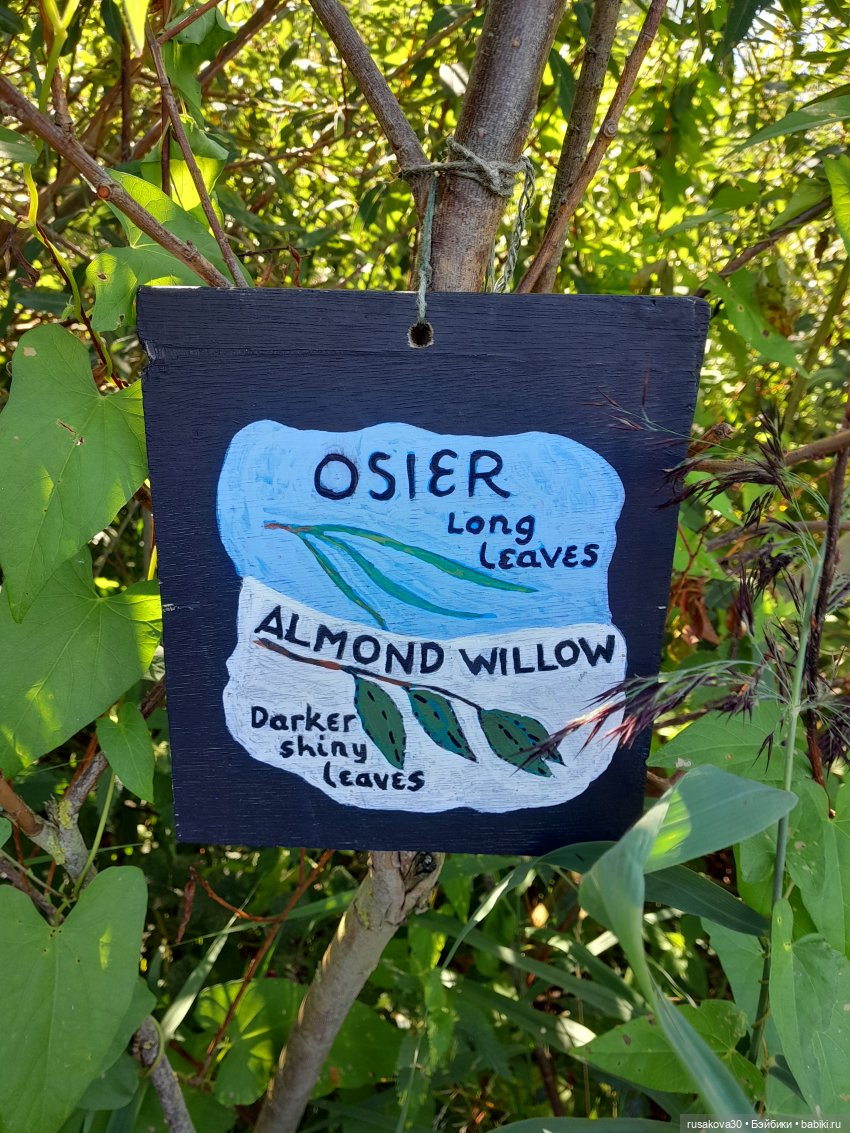 Продолжаем гулять по заповеднику (фото 8)