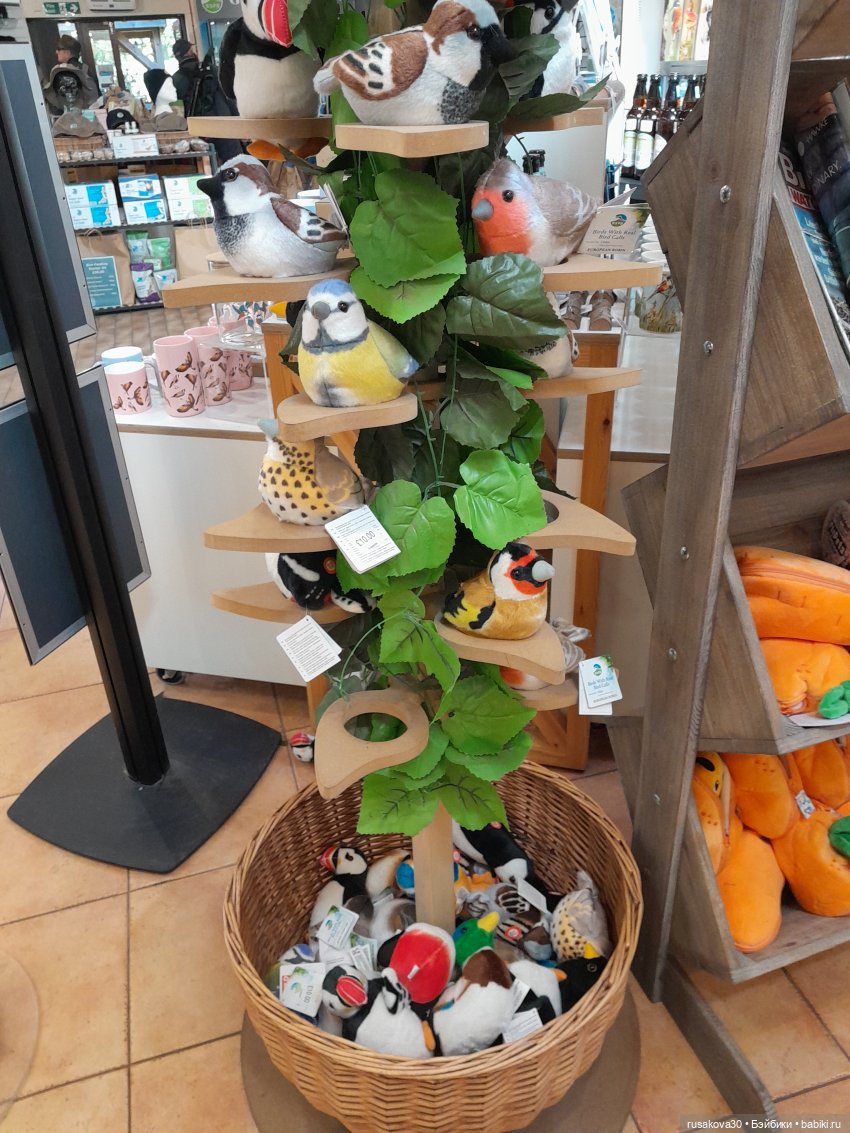 Продолжаем гулять по заповеднику