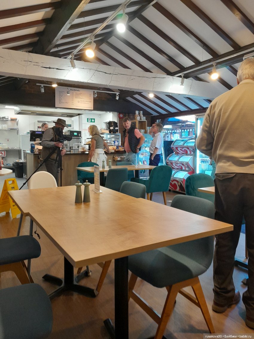 Людвиг ,Нильс и Ждунчик в птичьем заповеднике