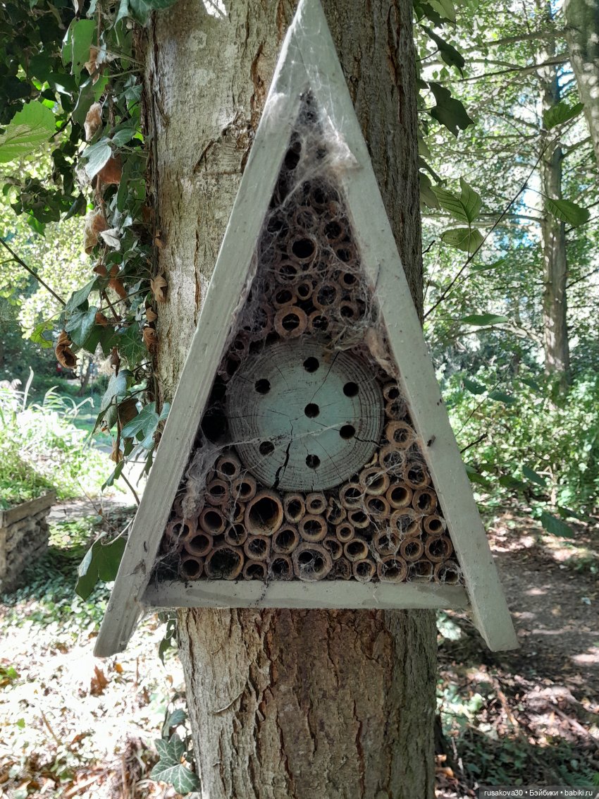 Продолжаем гулять по заповеднику (фото 2)