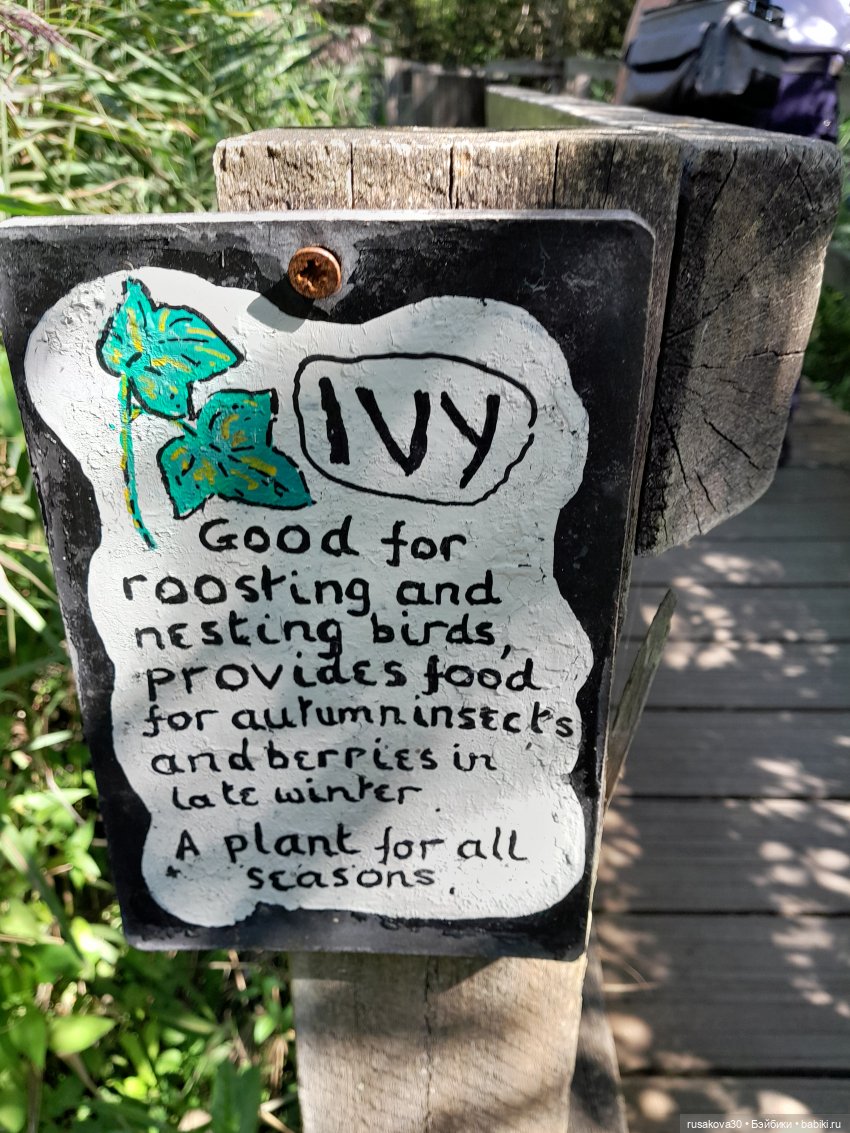 Продолжаем гулять по заповеднику (фото 6)