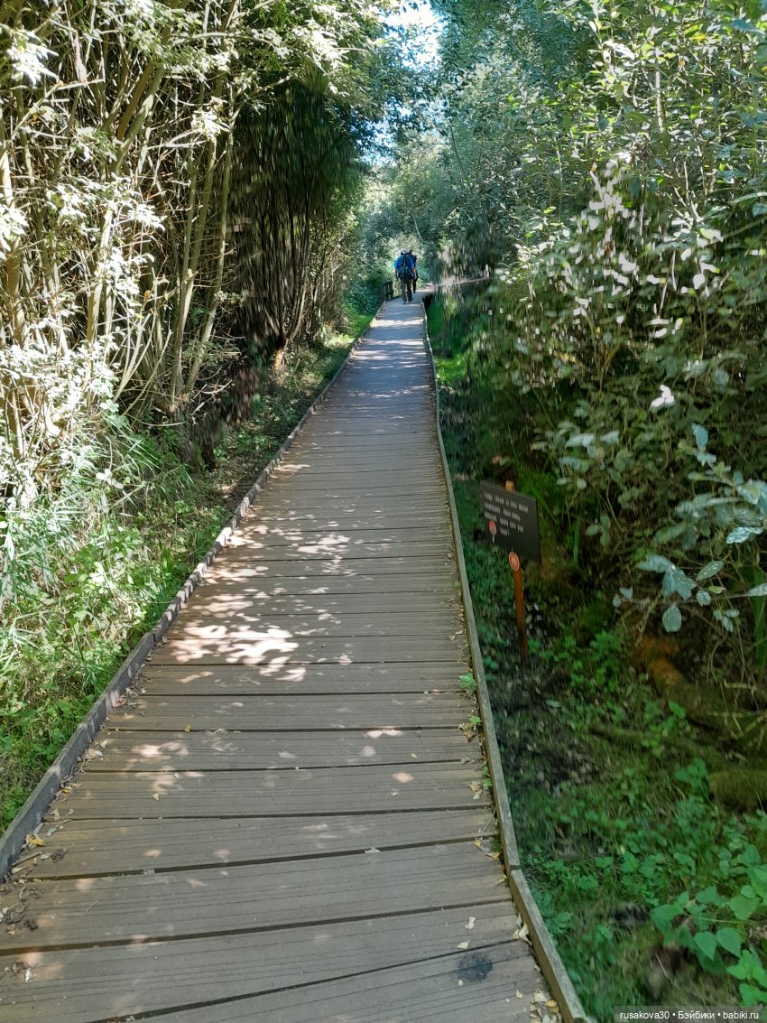 Продолжаем гулять по заповеднику (фото 3)