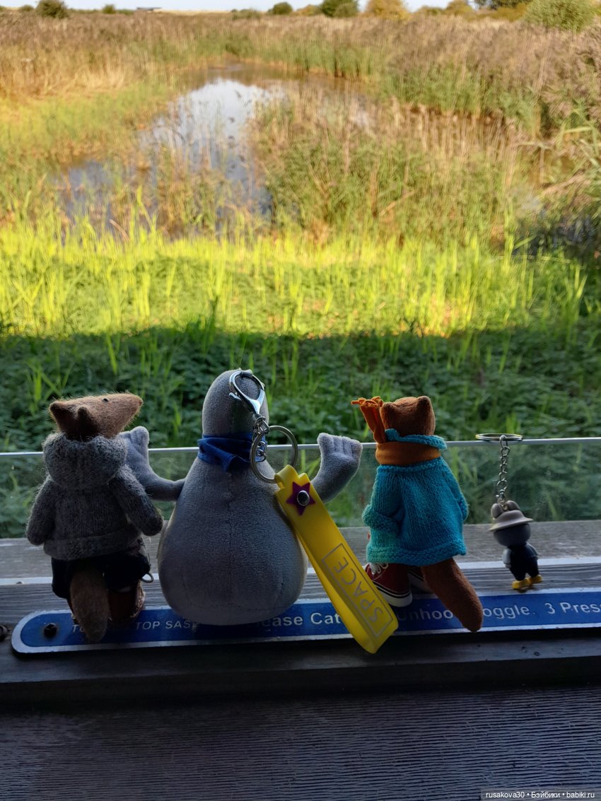 Продолжаем гулять по заповеднику