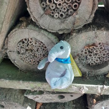 Продолжаем гулять по заповеднику.