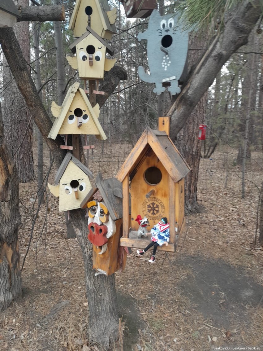 Новосибирскому зоопарку исполнилось 78 лет