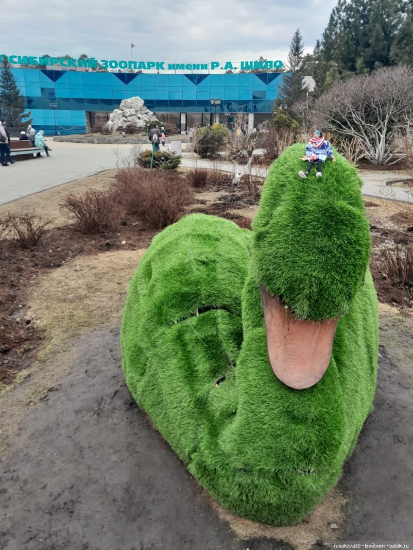 Новосибирскому зоопарку исполнилось 78 лет (фото 2)
