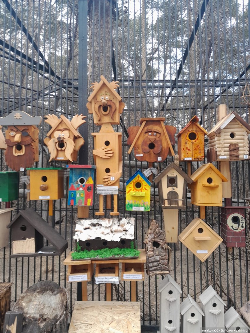 Новосибирскому зоопарку исполнилось 78 лет