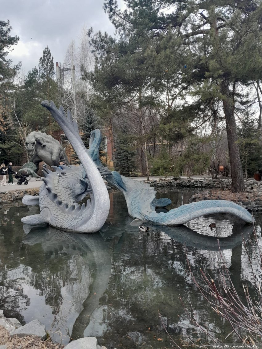 Новосибирскому зоопарку исполнилось 78 лет (фото 8)