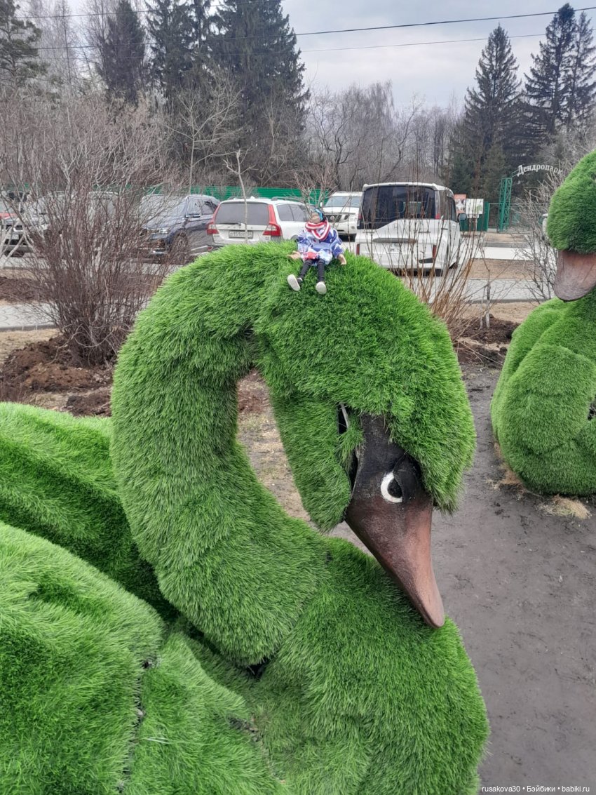 Новосибирскому зоопарку исполнилось 78 лет (фото 7)