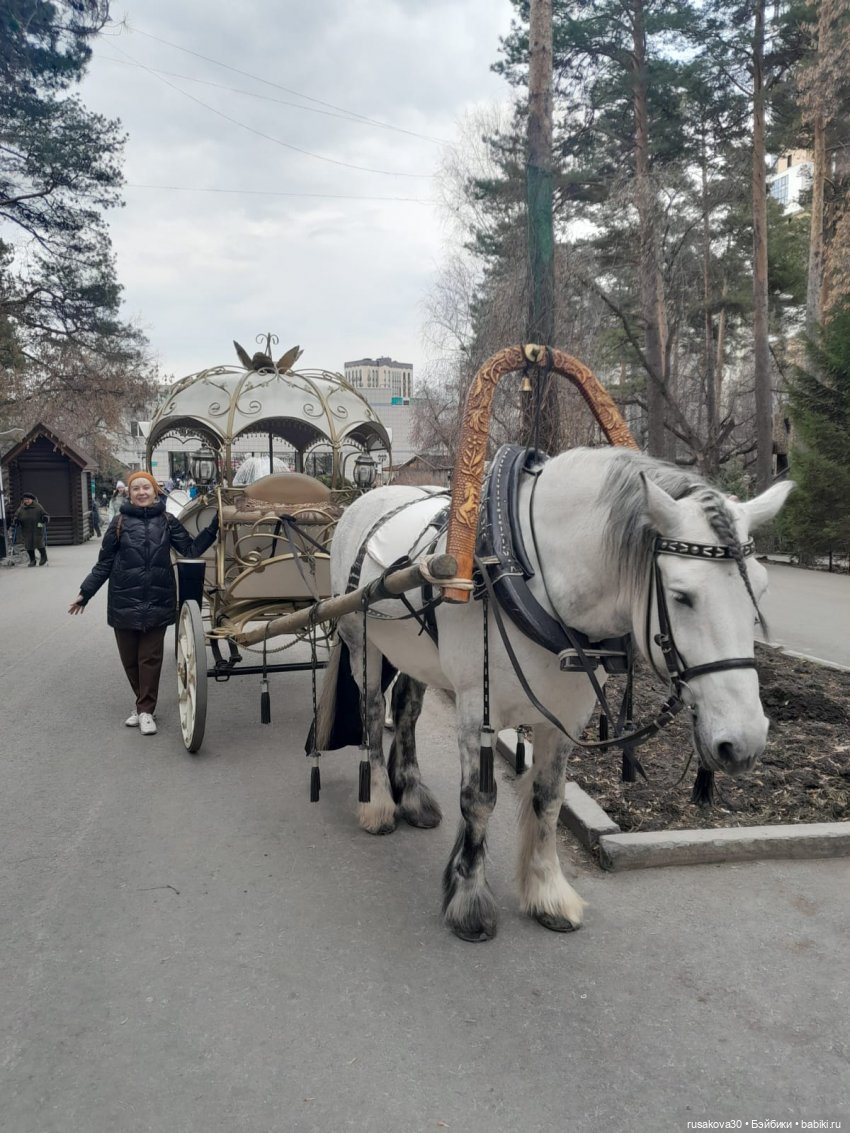 Новосибирскому зоопарку исполнилось 78 лет (фото 10)