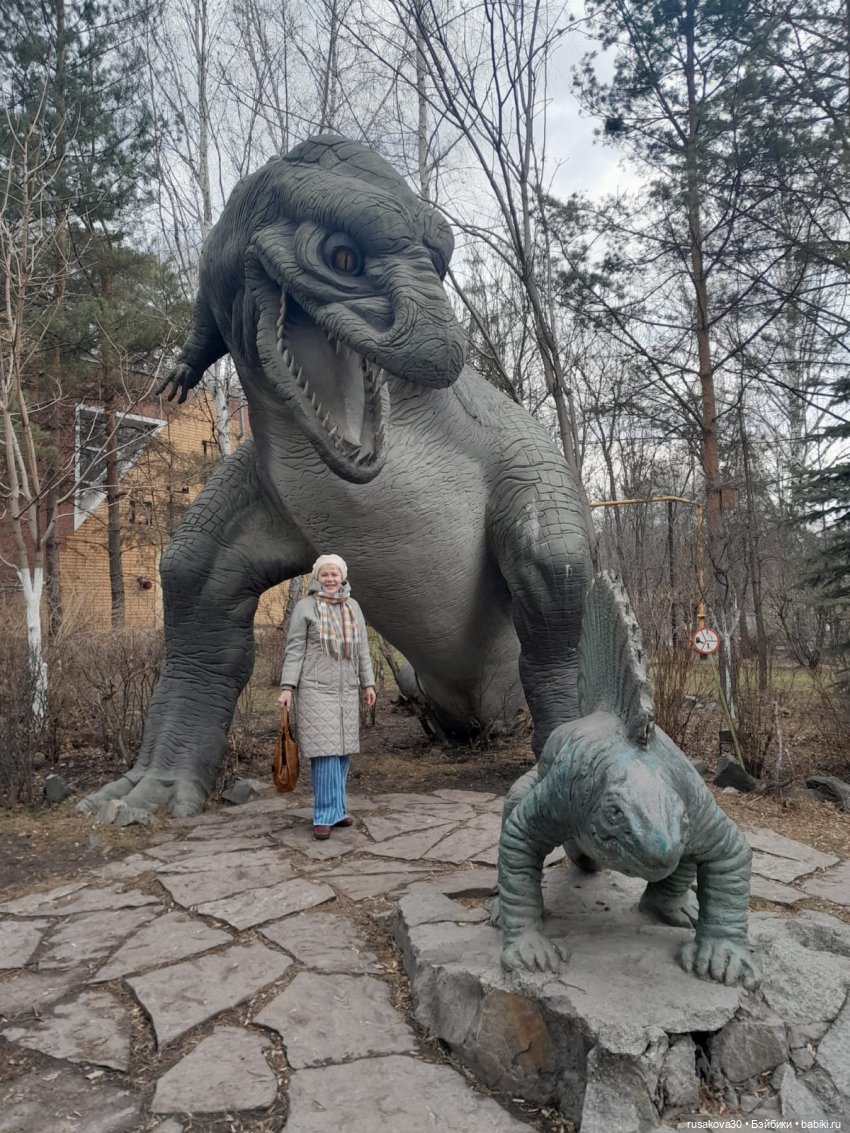 Новосибирскому зоопарку исполнилось 78 лет (фото 9)