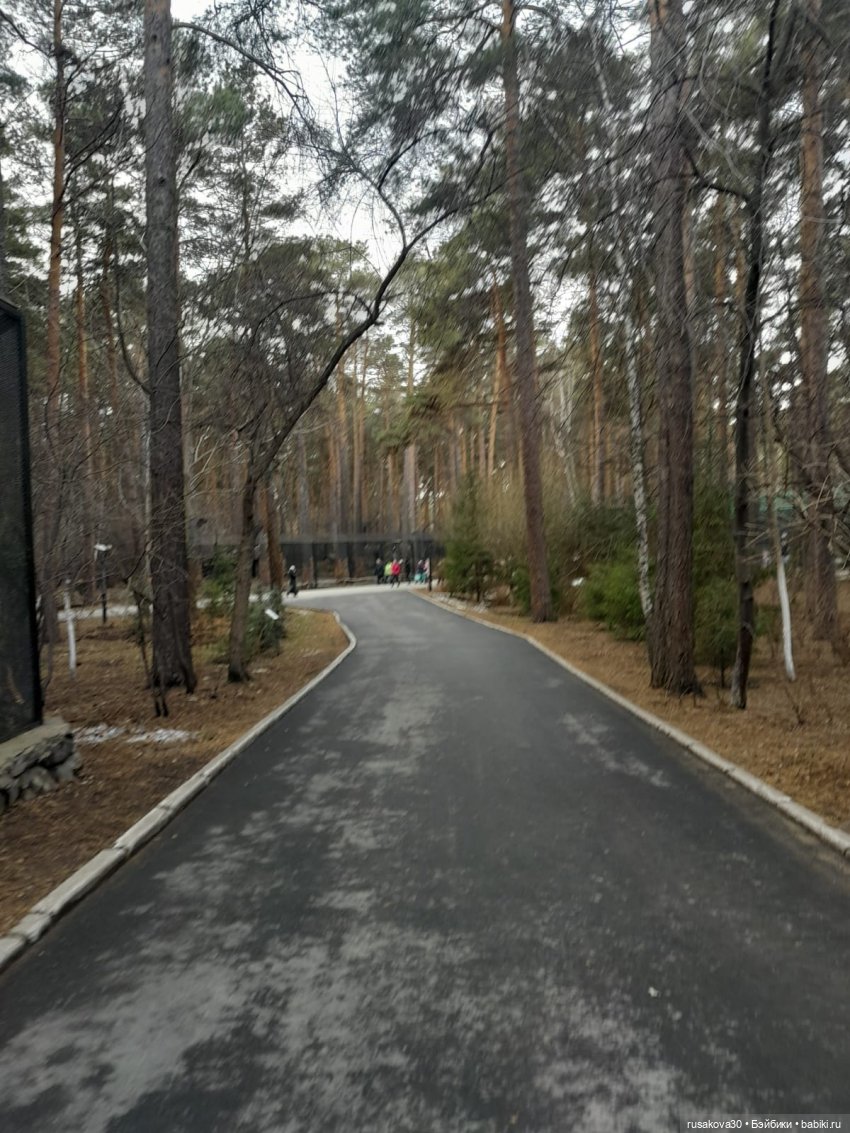 Новосибирскому зоопарку исполнилось 78 лет