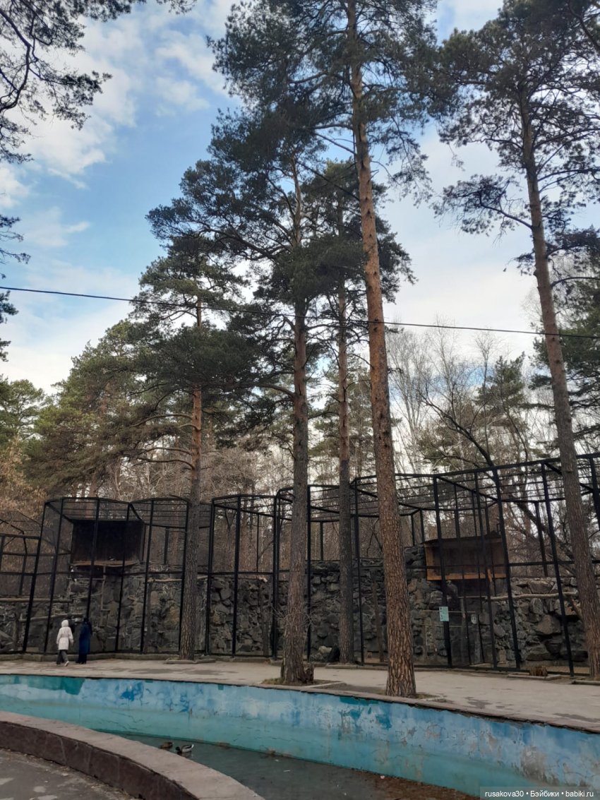 Новосибирскому зоопарку исполнилось 78 лет