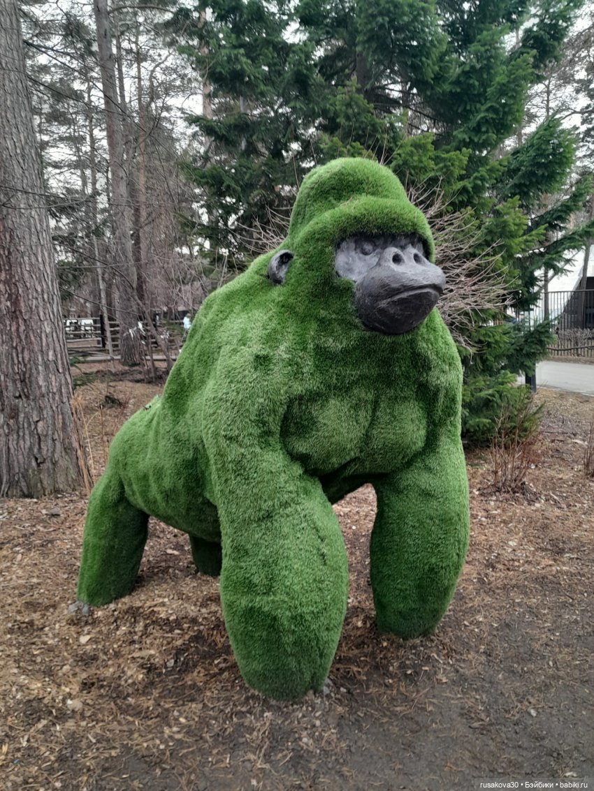 Новосибирскому зоопарку исполнилось 78 лет