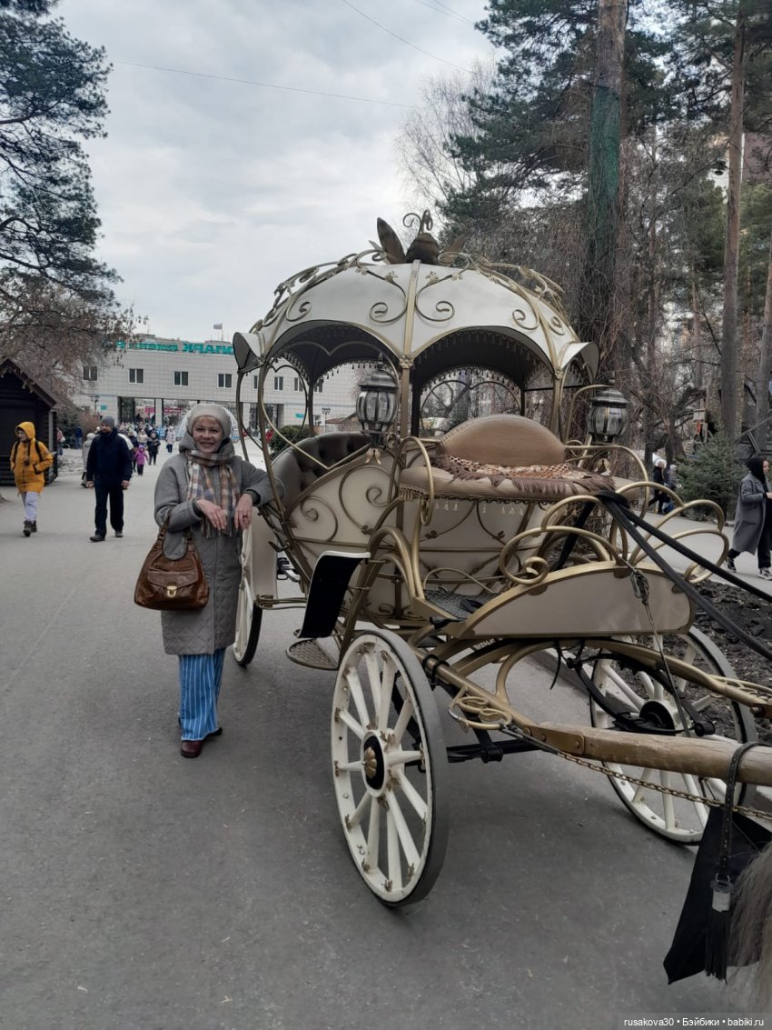Новосибирскому зоопарку исполнилось 78 лет