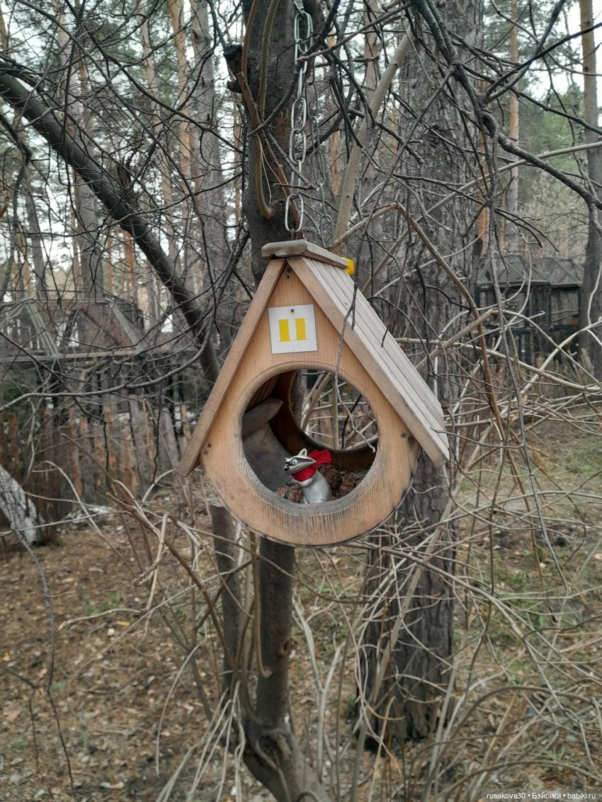 Новосибирскому зоопарку исполнилось 78 лет