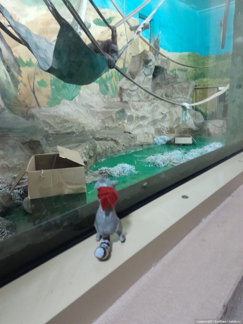 Новосибирскому зоопарку исполнилось 78 лет