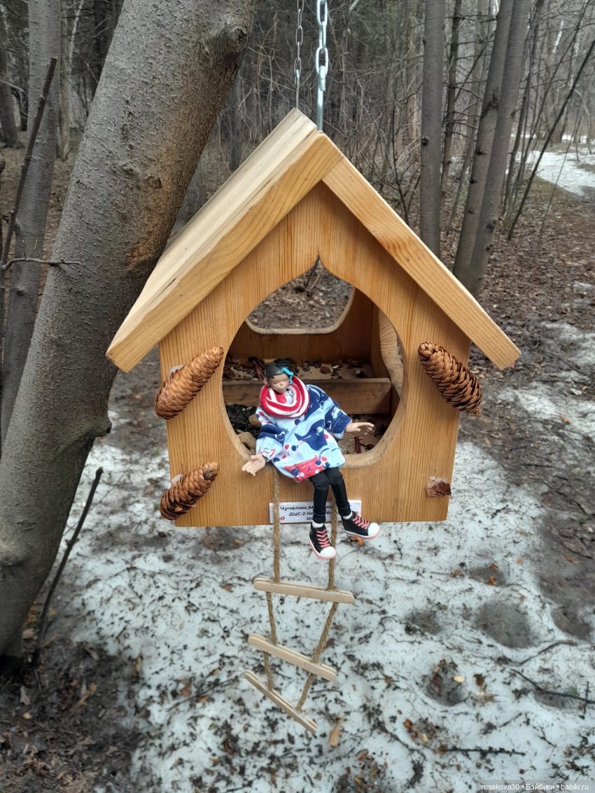 Новосибирскому зоопарку исполнилось 78 лет