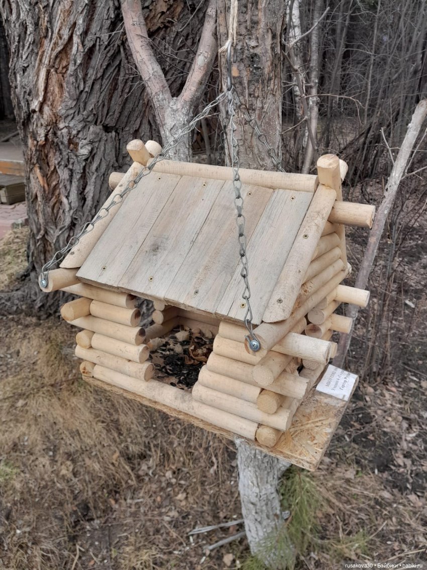 Новосибирскому зоопарку исполнилось 78 лет