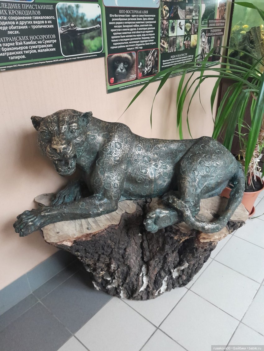 Новосибирскому зоопарку исполнилось 78 лет