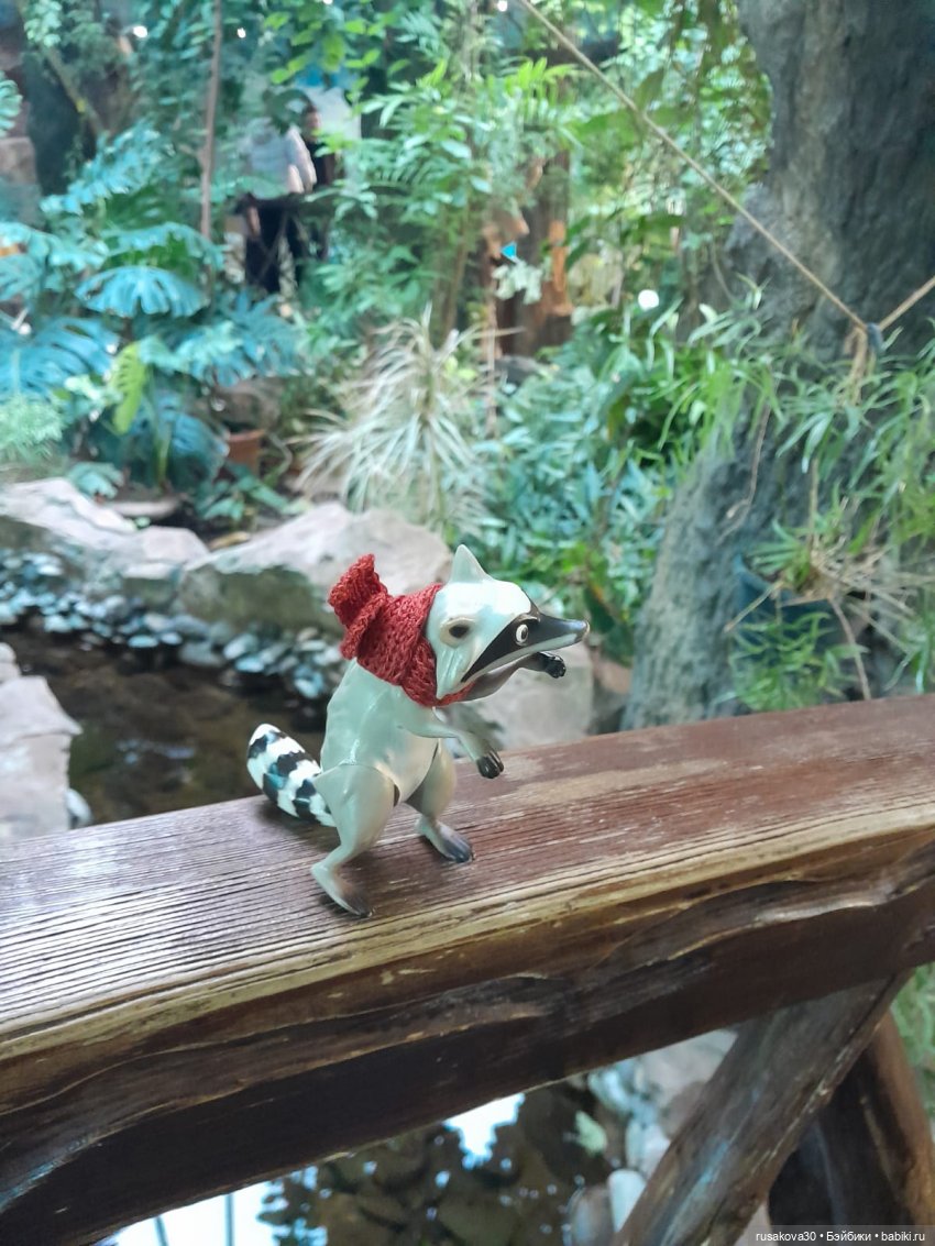 Новосибирскому зоопарку исполнилось 78 лет