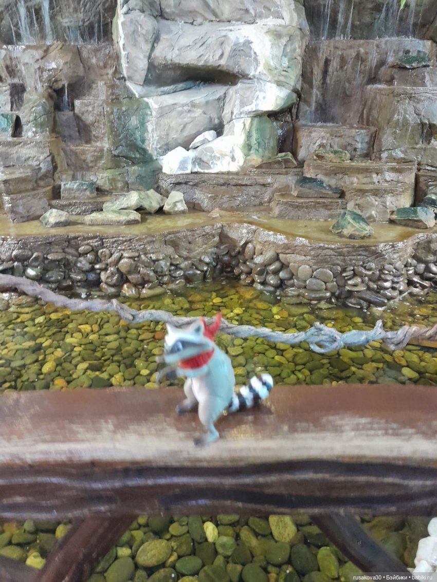 Новосибирскому зоопарку исполнилось 78 лет