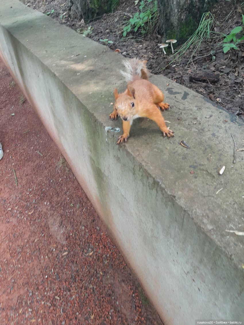 Наукоград Кольцово — современный посёлок для учёных