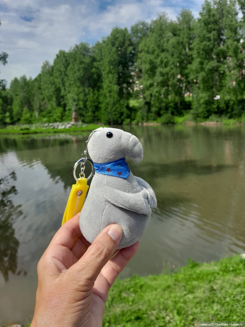 Наукоград Кольцово — современный посёлок для учёных