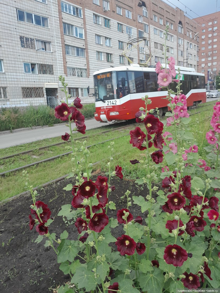 Наукоград Кольцово — современный посёлок для учёных