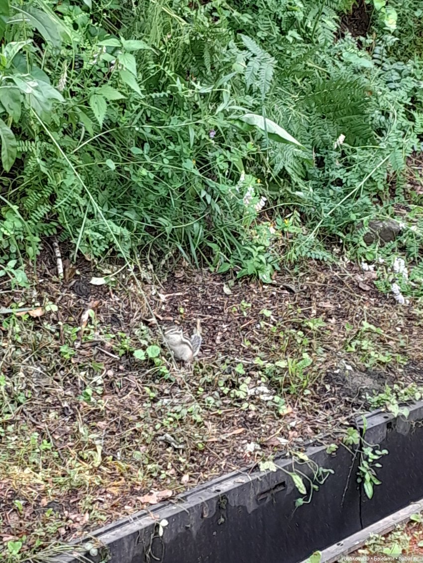 Наукоград Кольцово — современный посёлок для учёных