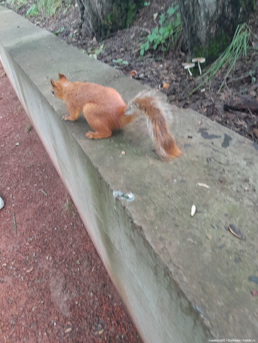 Наукоград Кольцово — современный посёлок для учёных
