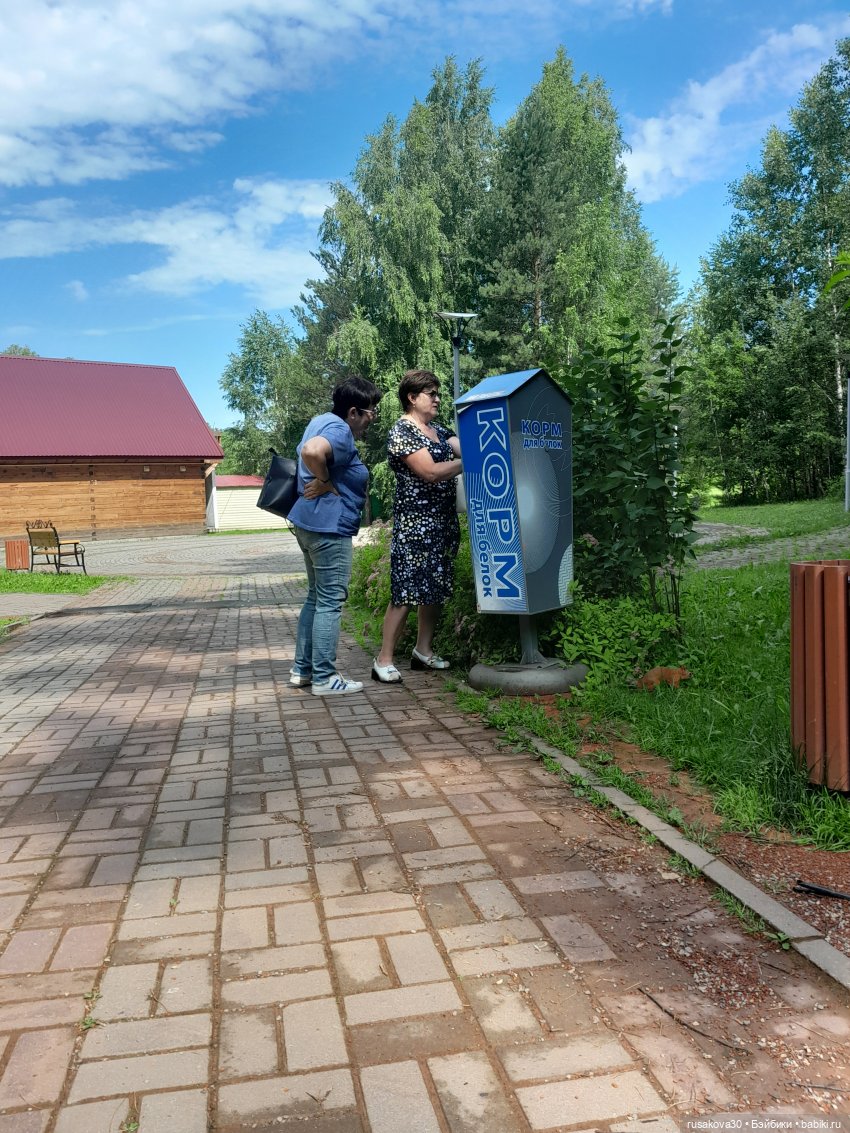 Наукоград Кольцово — современный посёлок для учёных