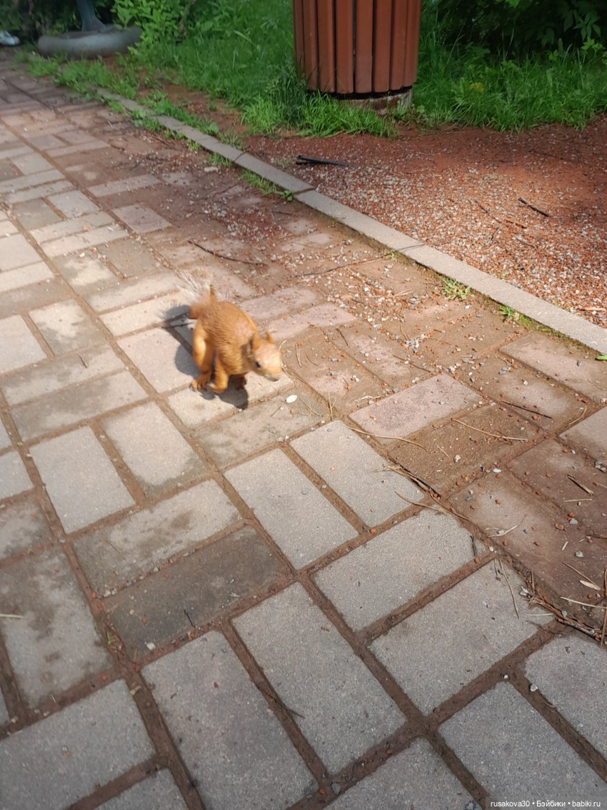 Наукоград Кольцово — современный посёлок для учёных