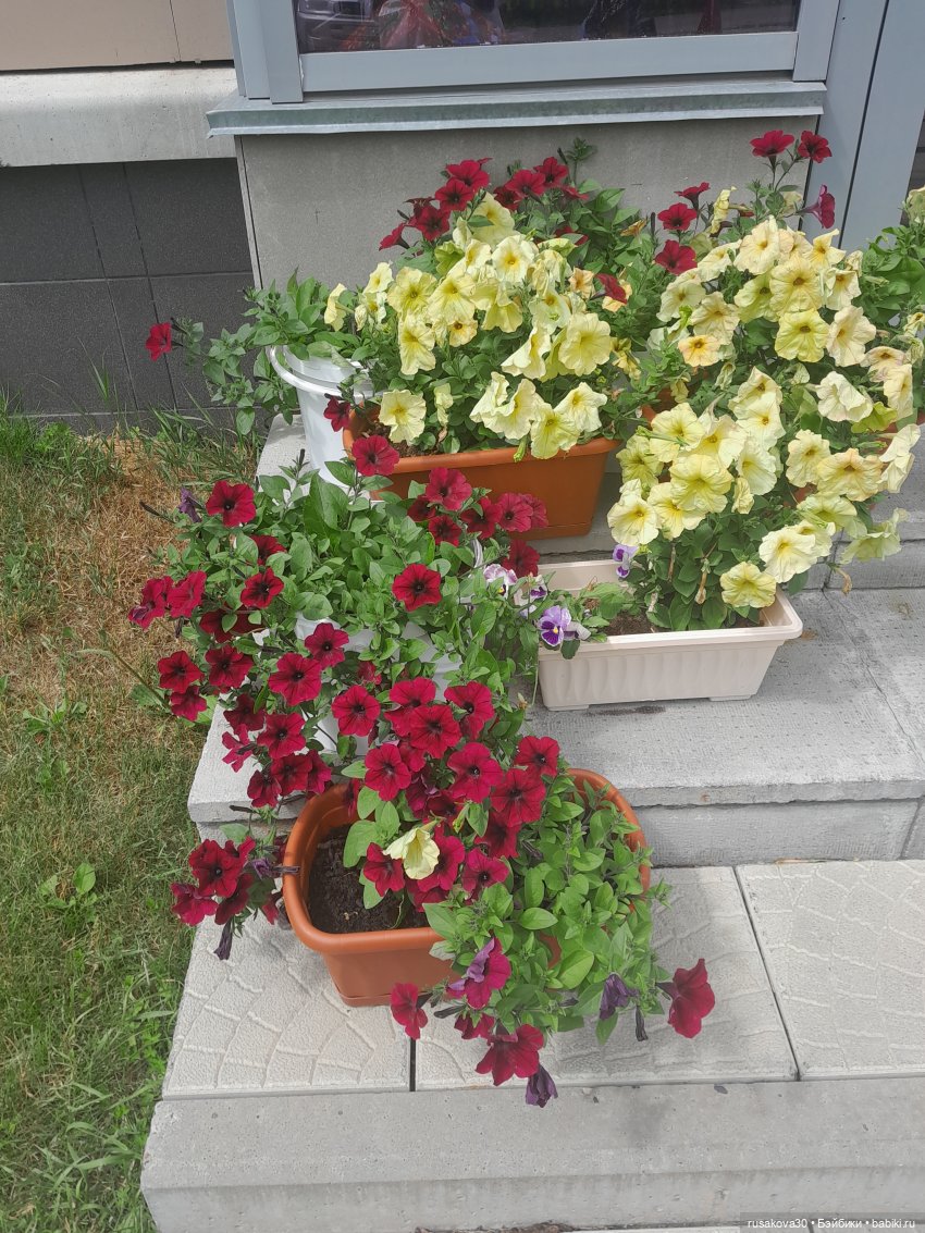 Наукоград Кольцово — современный посёлок для учёных