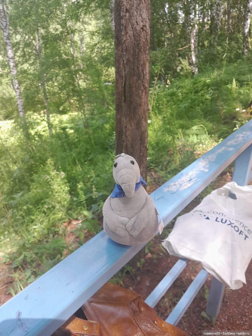 Наукоград Кольцово — современный посёлок для учёных