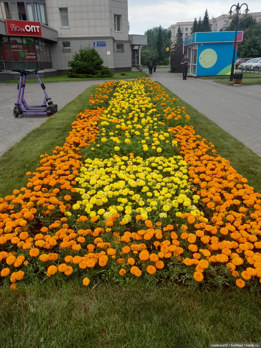 Наукоград Кольцово — современный посёлок для учёных