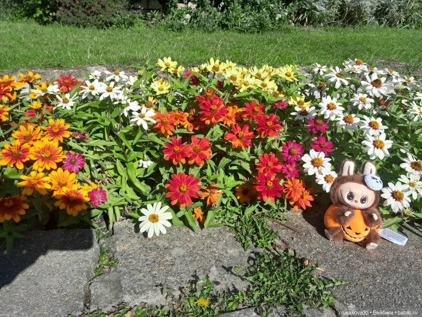 Маленький приморский городок Кромер | Бэйбики Маленький приморский городок Кромер