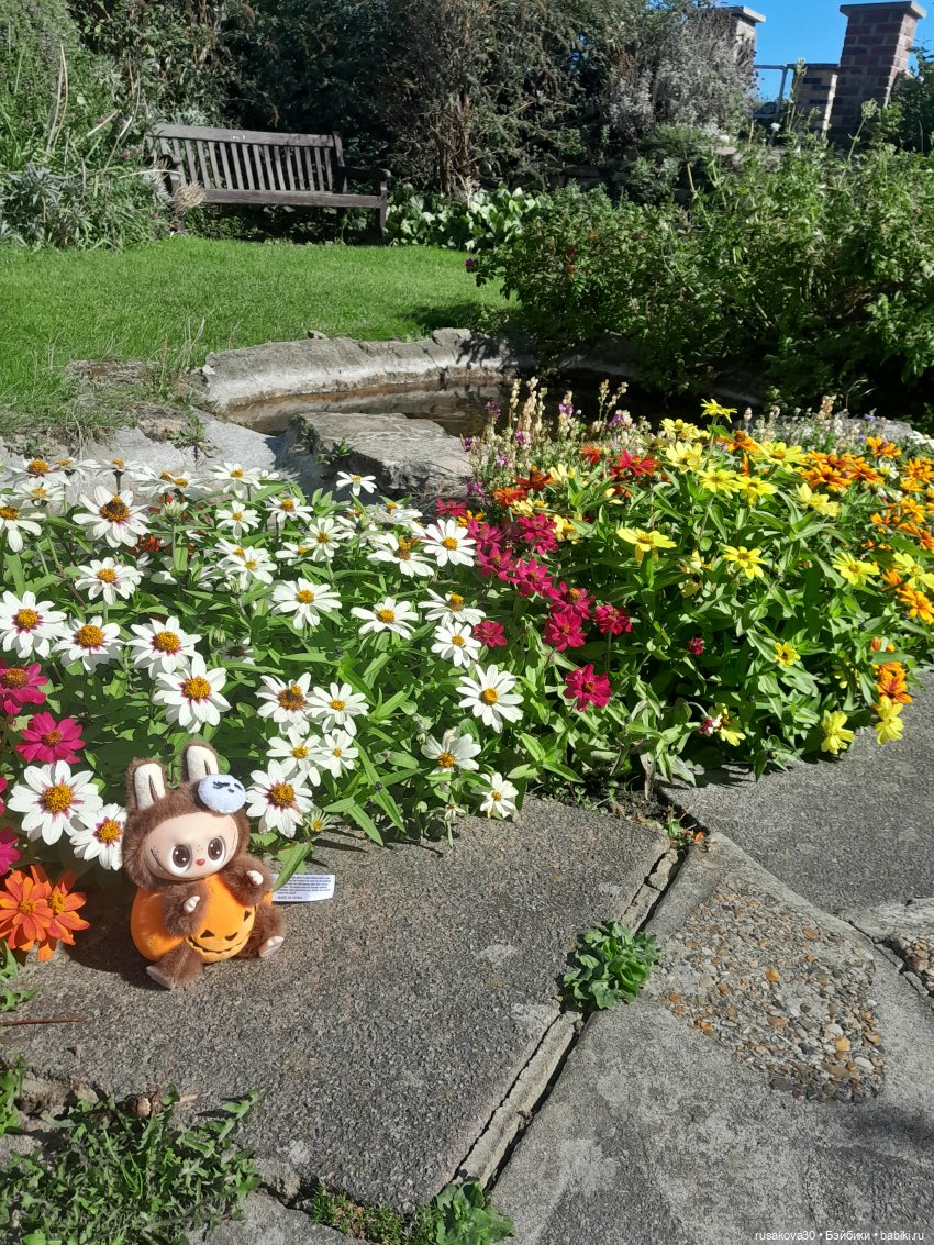 Маленький приморский городок Кромер | Бэйбики Маленький приморский городок Кромер