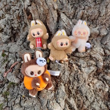 Прогулка по Сандрингему .