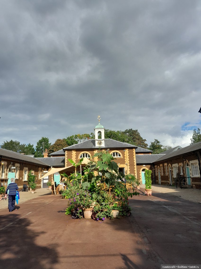 Прогулка по Сандрингему (продолжение) (фото 4)