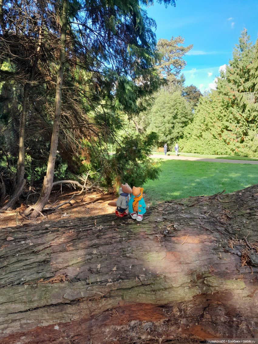 Прогулка по Сандрингему (продолжение)