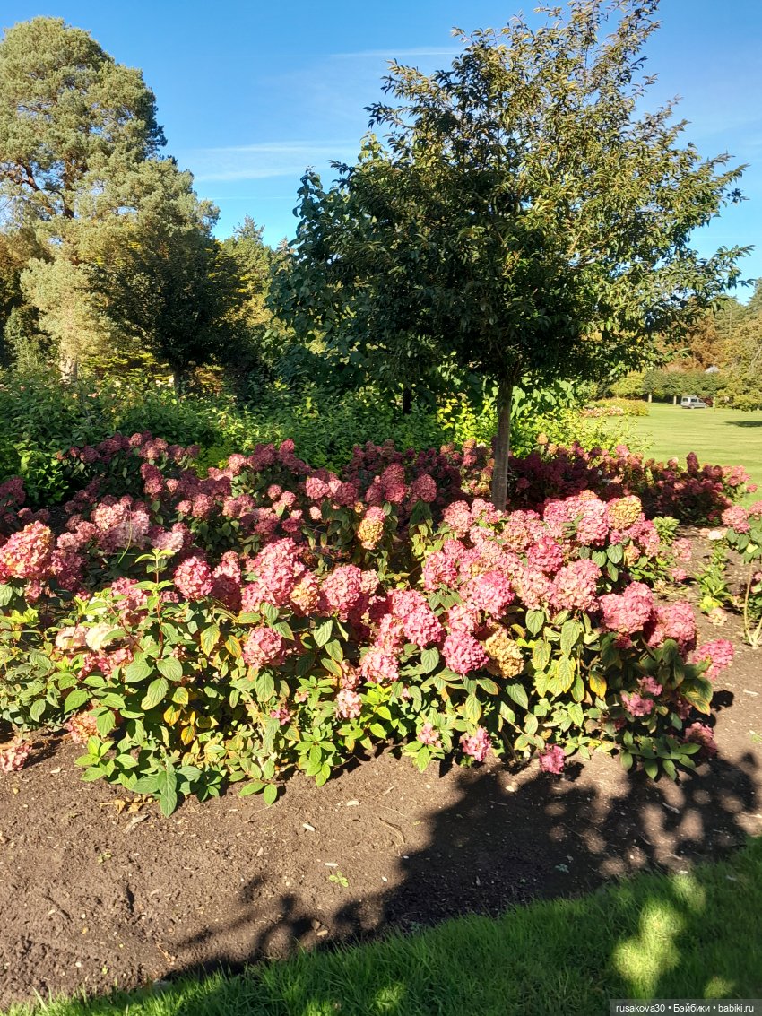 Прогулка по Сандрингему (продолжение)