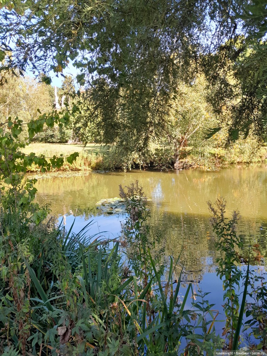 Прогулка по Сандрингему (продолжение)