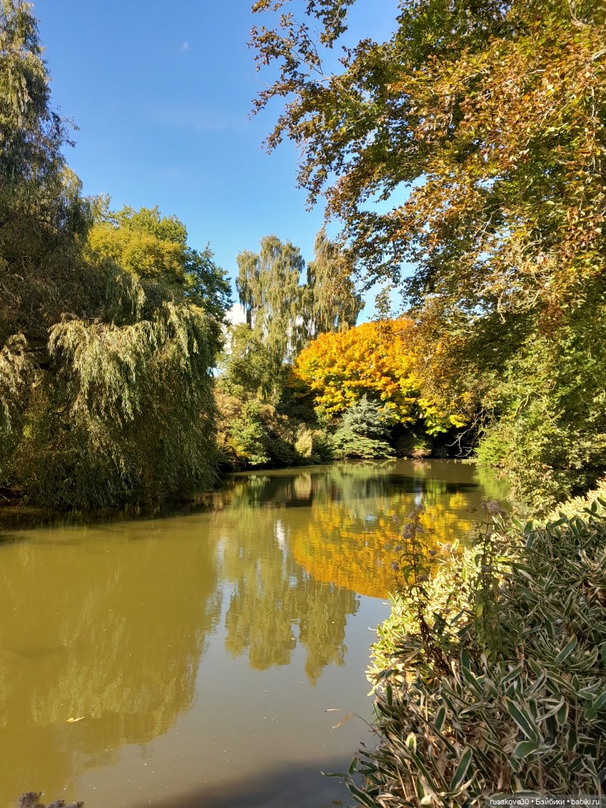 Прогулка по Сандрингему (продолжение)