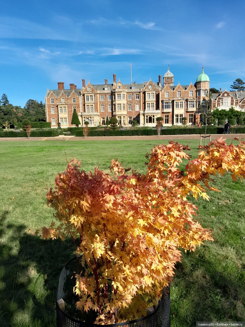 Прогулка по Сандрингему (продолжение)